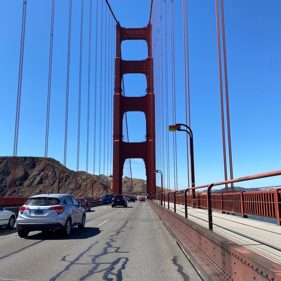 Meet your Posher, Jozlyn - Picture 1 of 1